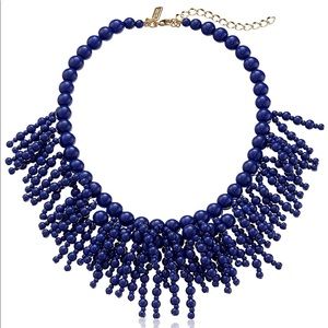 Kate Spade Fringe Appeal Necklace